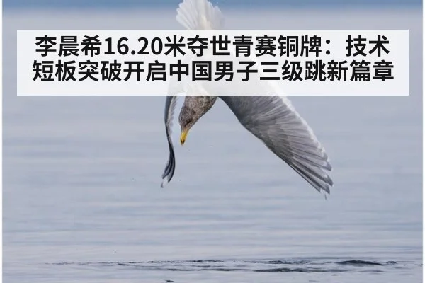 李晨希16.20米夺世青赛铜牌：技术短板突破开启中国男子三级跳新篇章